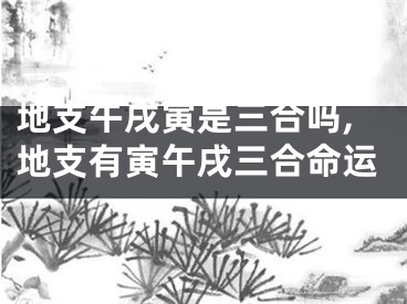 地支午戌寅是三合吗,地支有寅午戌三合命运