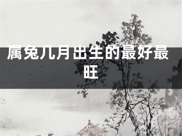 属兔几月出生的最好最旺
