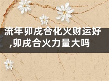 流年卯戌合化火财运好,卯戌合火力量大吗