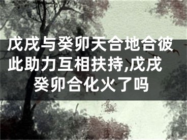 戊戌与癸卯天合地合彼此助力互相扶持,戊戌癸卯合化火了吗