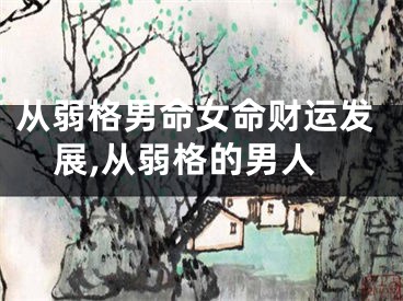 从弱格男命女命财运发展,从弱格的男人