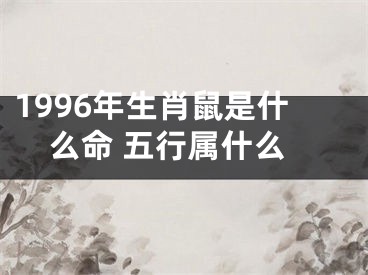 1996年生肖鼠是什么命 五行属什么