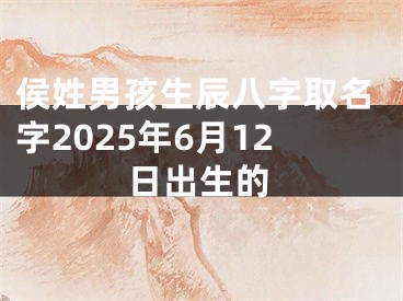侯姓男孩生辰八字取名字2025年6月12日出生的