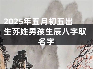 2025年五月初五出生苏姓男孩生辰八字取名字