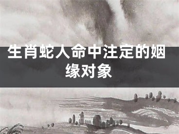 生肖蛇人命中注定的姻缘对象