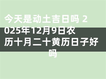 今天是动土吉日吗 2025年12月9日农历十月二十黄历日子好吗