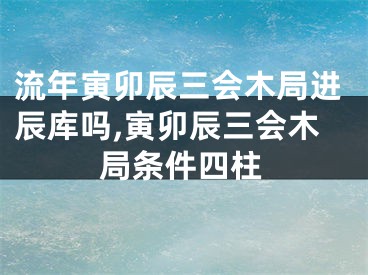 流年寅卯辰三会木局进辰库吗,寅卯辰三会木局条件四柱