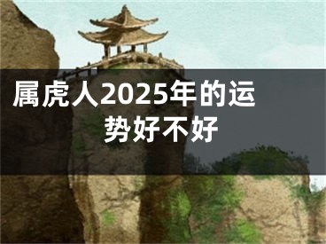 属虎人2025年的运势好不好