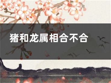 猪和龙属相合不合 