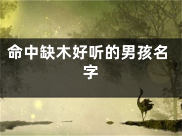 命中缺木好听的男孩名字