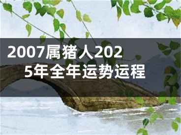 2007属猪人2025年全年运势运程