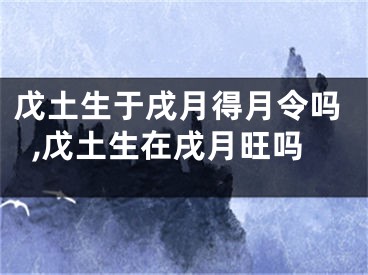 戊土生于戌月得月令吗,戊土生在戌月旺吗
