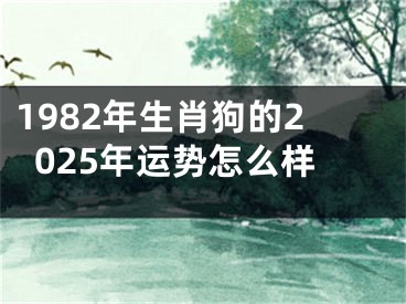 1982年生肖狗的2025年运势怎么样