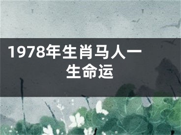 1978年生肖马人一生命运