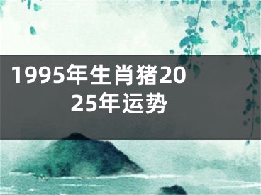 1995年生肖猪2025年运势