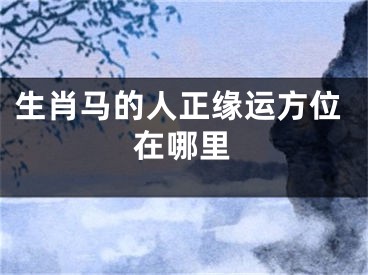 生肖马的人正缘运方位在哪里