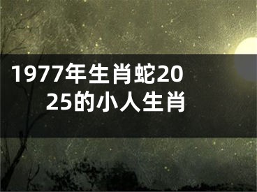 1977年生肖蛇2025的小人生肖