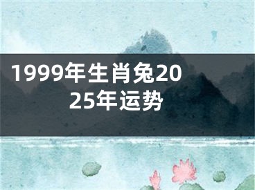 1999年生肖兔2025年运势