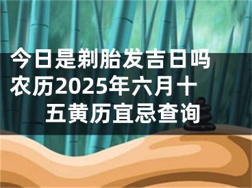 今日是剃胎发吉日吗 农历2025年六月十五黄历宜忌查询