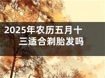 2025年农历五月十三适合剃胎发吗
