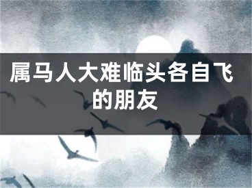 属马人大难临头各自飞的朋友