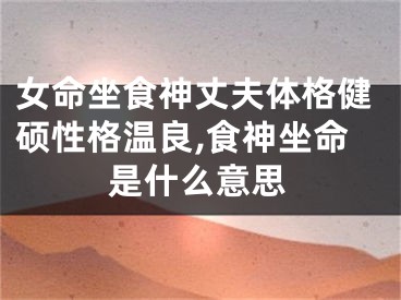 女命坐食神丈夫体格健硕性格温良,食神坐命是什么意思