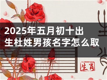 2025年五月初十出生杜姓男孩名字怎么取