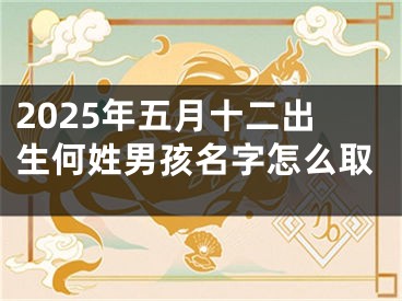 2025年五月十二出生何姓男孩名字怎么取