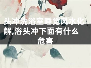 头冲洗浴室睡觉风水化解,浴头冲下面有什么危害