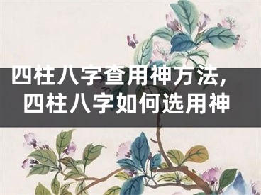 四柱八字查用神方法,四柱八字如何选用神