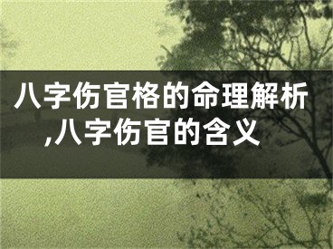 八字伤官格的命理解析,八字伤官的含义