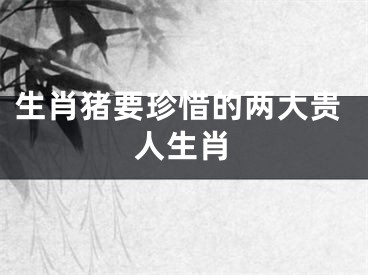 生肖猪要珍惜的两大贵人生肖