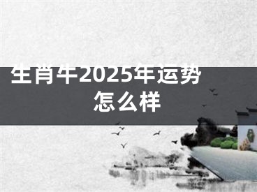 生肖牛2025年运势怎么样