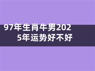 97年生肖牛男2025年运势好不好