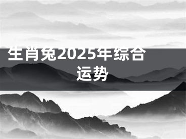 生肖兔2025年综合运势