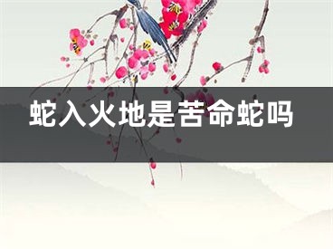 蛇入火地是苦命蛇吗