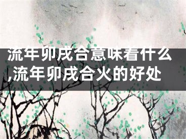 流年卯戌合意味着什么,流年卯戌合火的好处