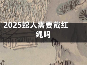 2025蛇人需要戴红绳吗