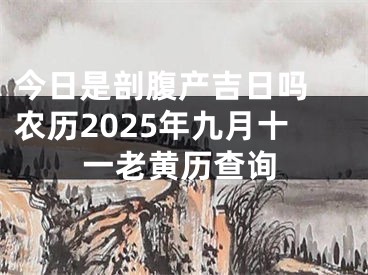 今日是剖腹产吉日吗 农历2025年九月十一老黄历查询