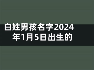 白姓男孩名字2024年1月5日出生的