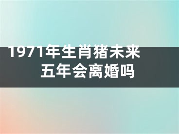 1971年生肖猪未来五年会离婚吗