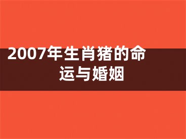 2007年生肖猪的命运与婚姻