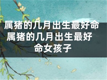 属猪的几月出生最好命 属猪的几月出生最好命女孩子