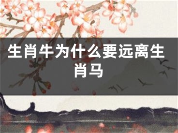 生肖牛为什么要远离生肖马