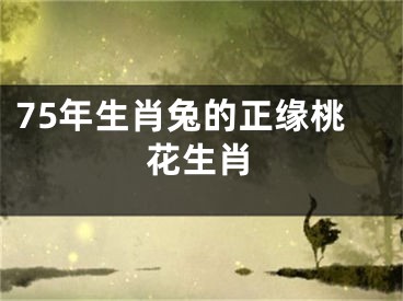 75年生肖兔的正缘桃花生肖