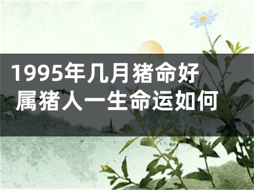 1995年几月猪命好 属猪人一生命运如何