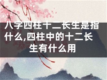 八字四柱十二长生是指什么,四柱中的十二长生有什么用