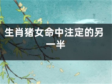 生肖猪女命中注定的另一半