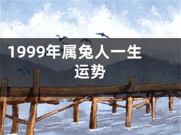1999年属兔人一生运势