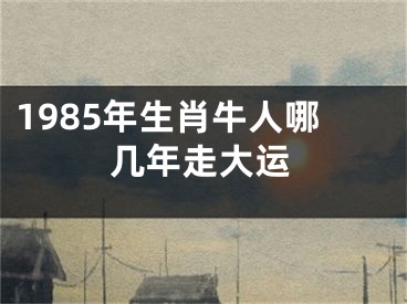 1985年生肖牛人哪几年走大运